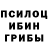 Галлюциногенные грибы прущие грибы SinsiliuxS
