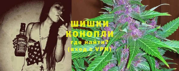 прущие грибы Алзамай