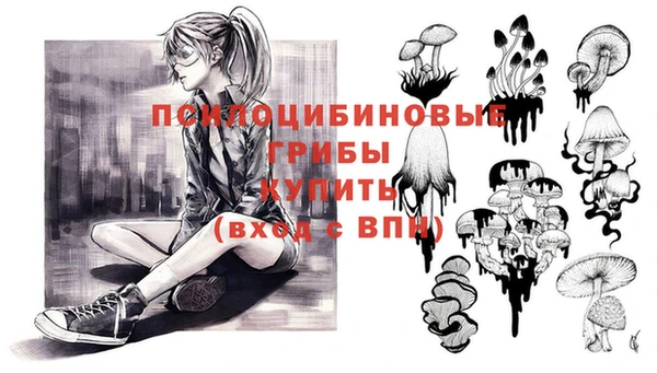 прущие грибы Алзамай