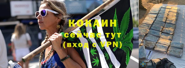 прущие грибы Алзамай