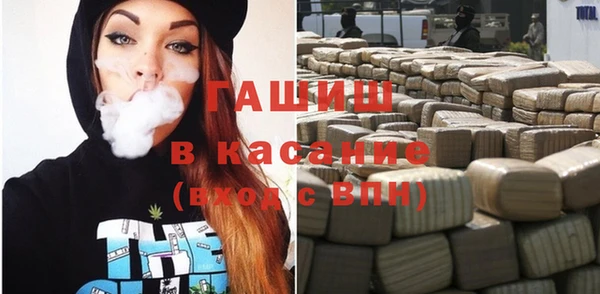 прущие грибы Алзамай