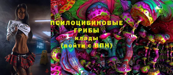 прущие грибы Алзамай